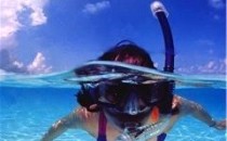 Snorkel with the Fishes